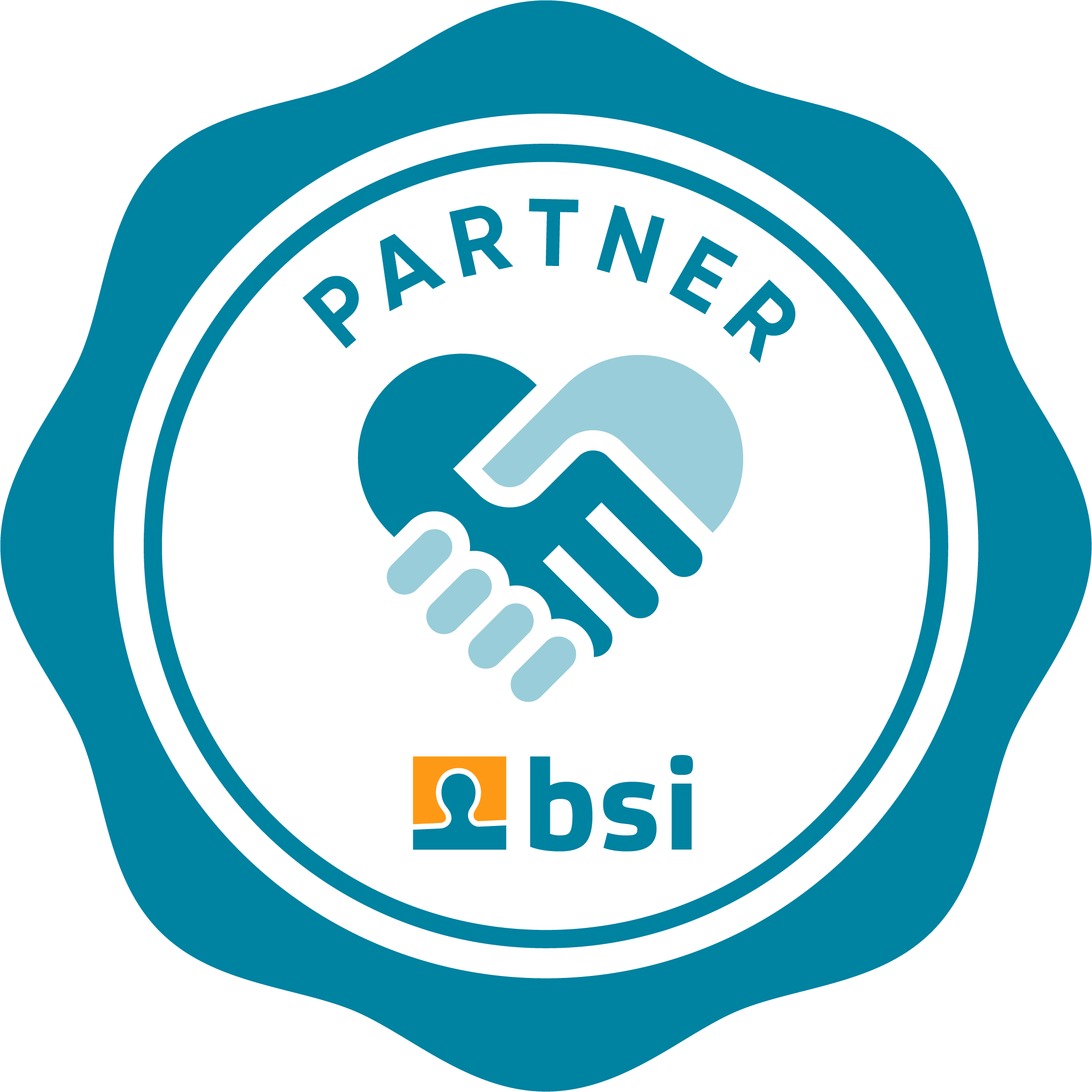bsi Partner