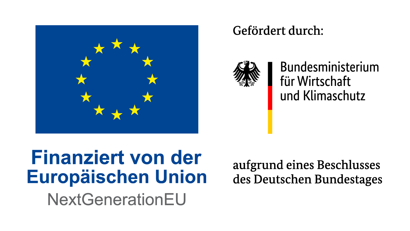 BMWK-EU_Gefördert2023_de_RGB