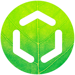 msg.Life Factory Logo