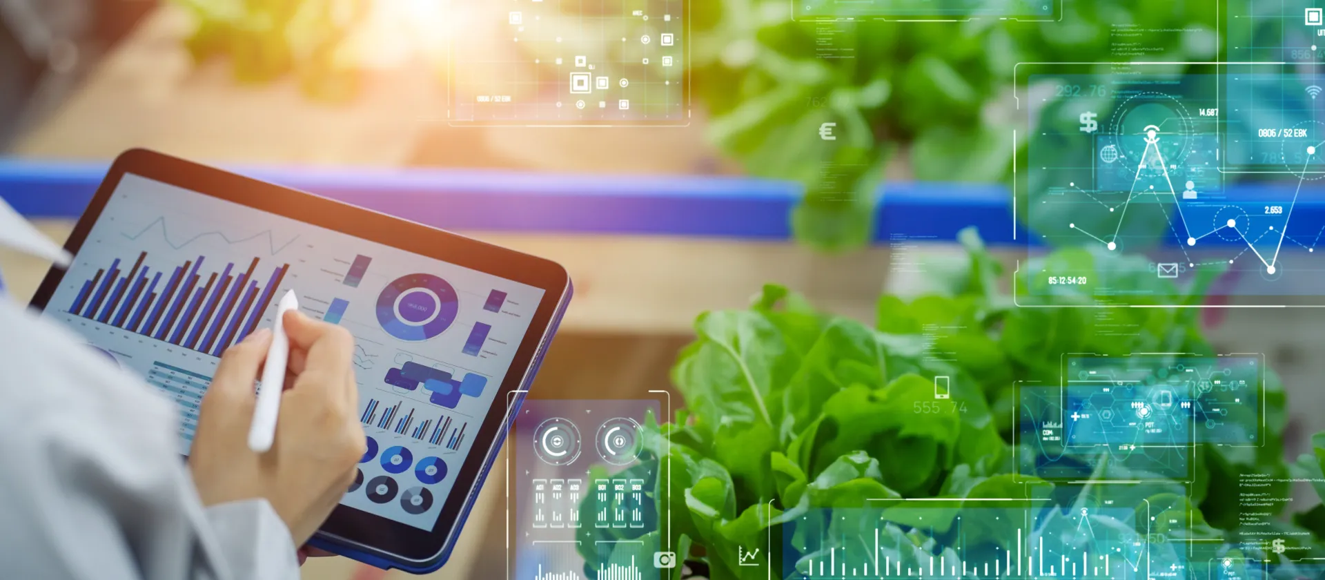 msg food solutions Salad Tablet Grocery 