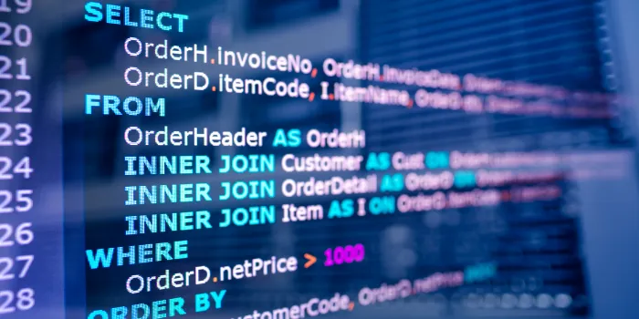 Unlocking SSRS: Investigating SSRS with SQL Queries