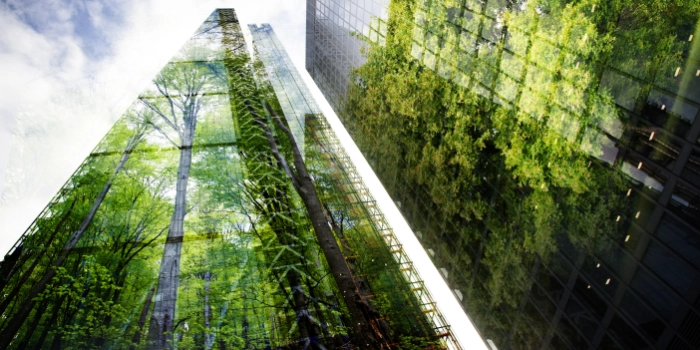 Green Skyscraper