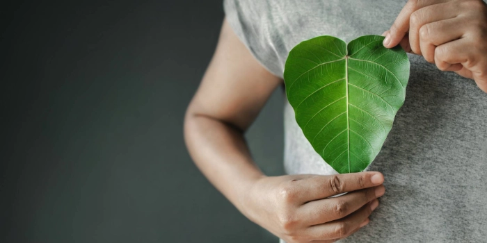 msg-esg Kriterien Nachhaltigkeit
