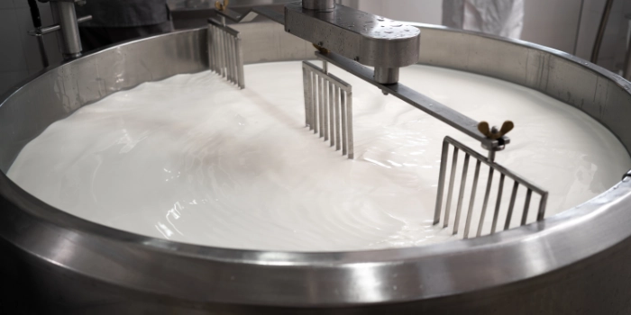 Milch  Pasteurisierung Käseherstellung Tank