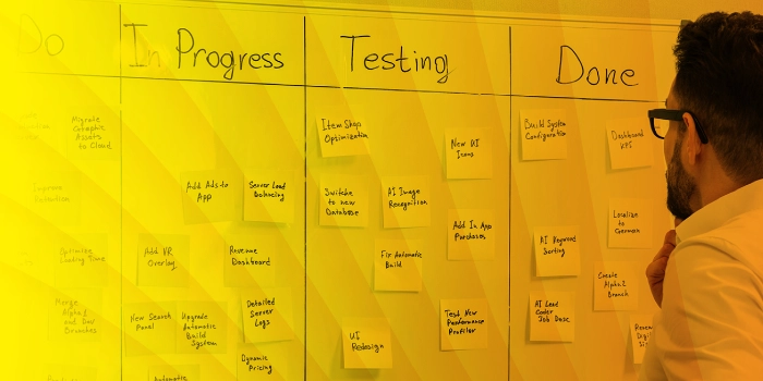 Public Sector Projectmanagement 