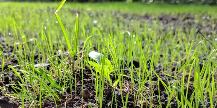 Daten als Fundament: Warum Compliance und Reporting 2026 über die Überlebensfähigkeit entscheiden