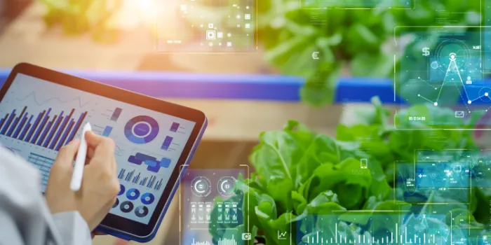 Softproviding firmiert zu msg food solutions