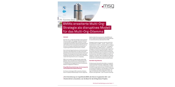 Success Story - Strategie als disruptives Modell für das Multi-Org-Dilemma