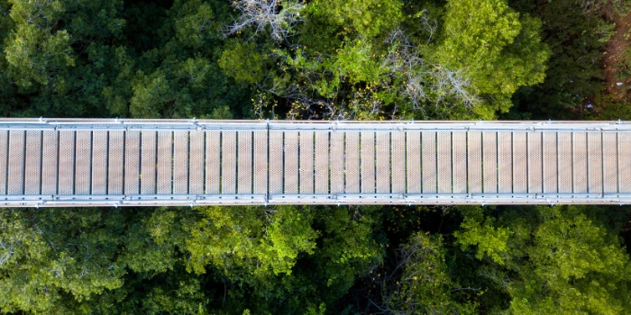 ESG-Risiken strategisch managen: Neue EBA-Anforderungen und die Rolle von (Transitions-)Plänen