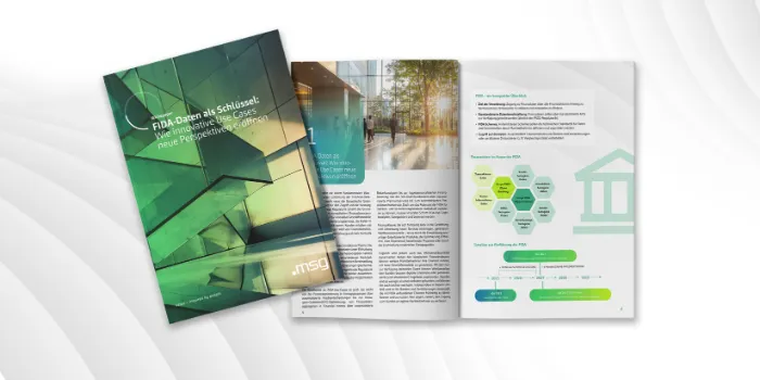 20250828_Header-BV-Blog_Whitepaper-FIDA_INT