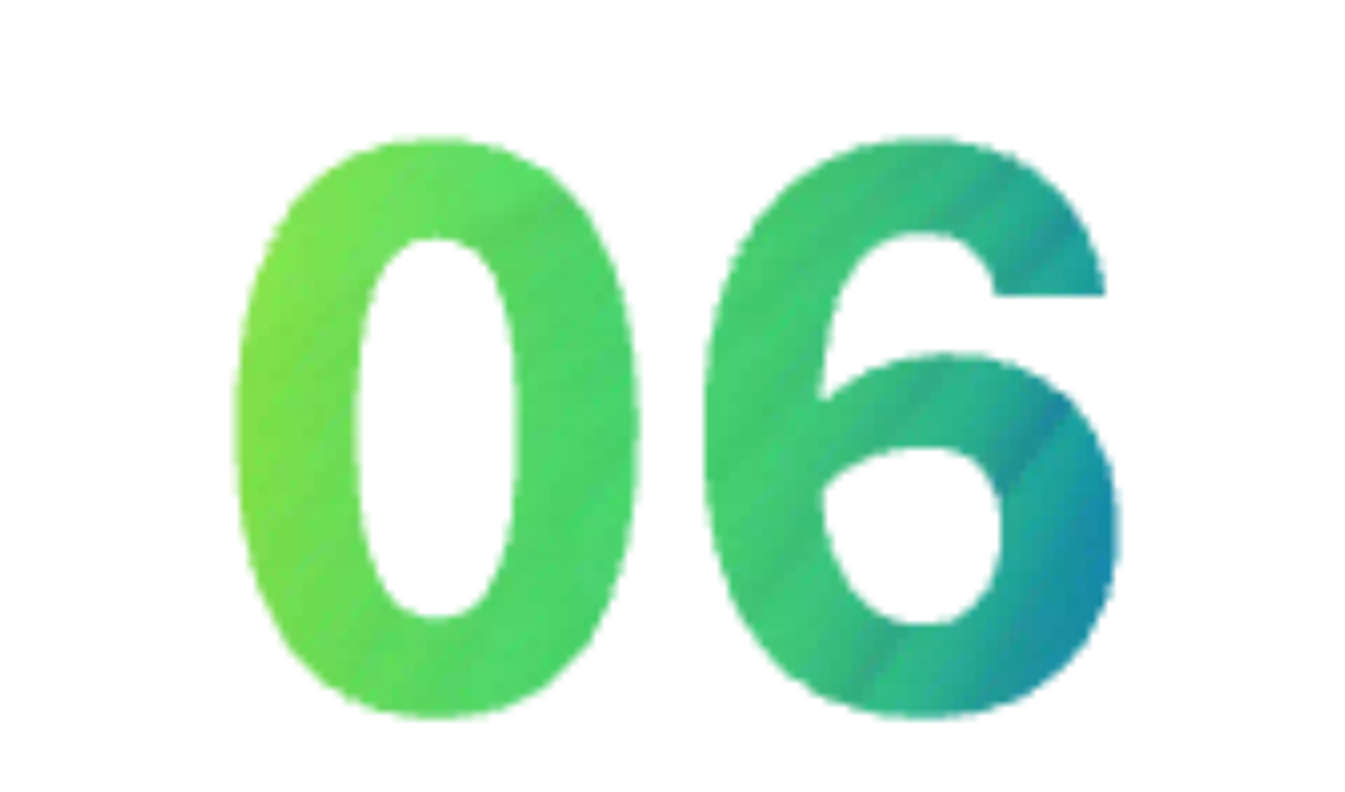 06