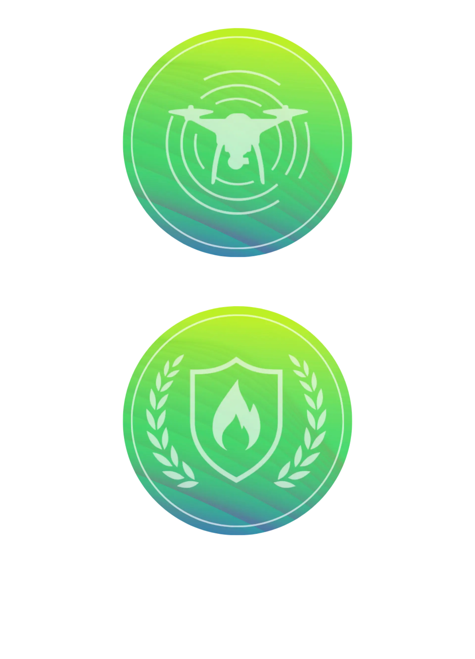 Icons Vysthos und Moewe (2)
