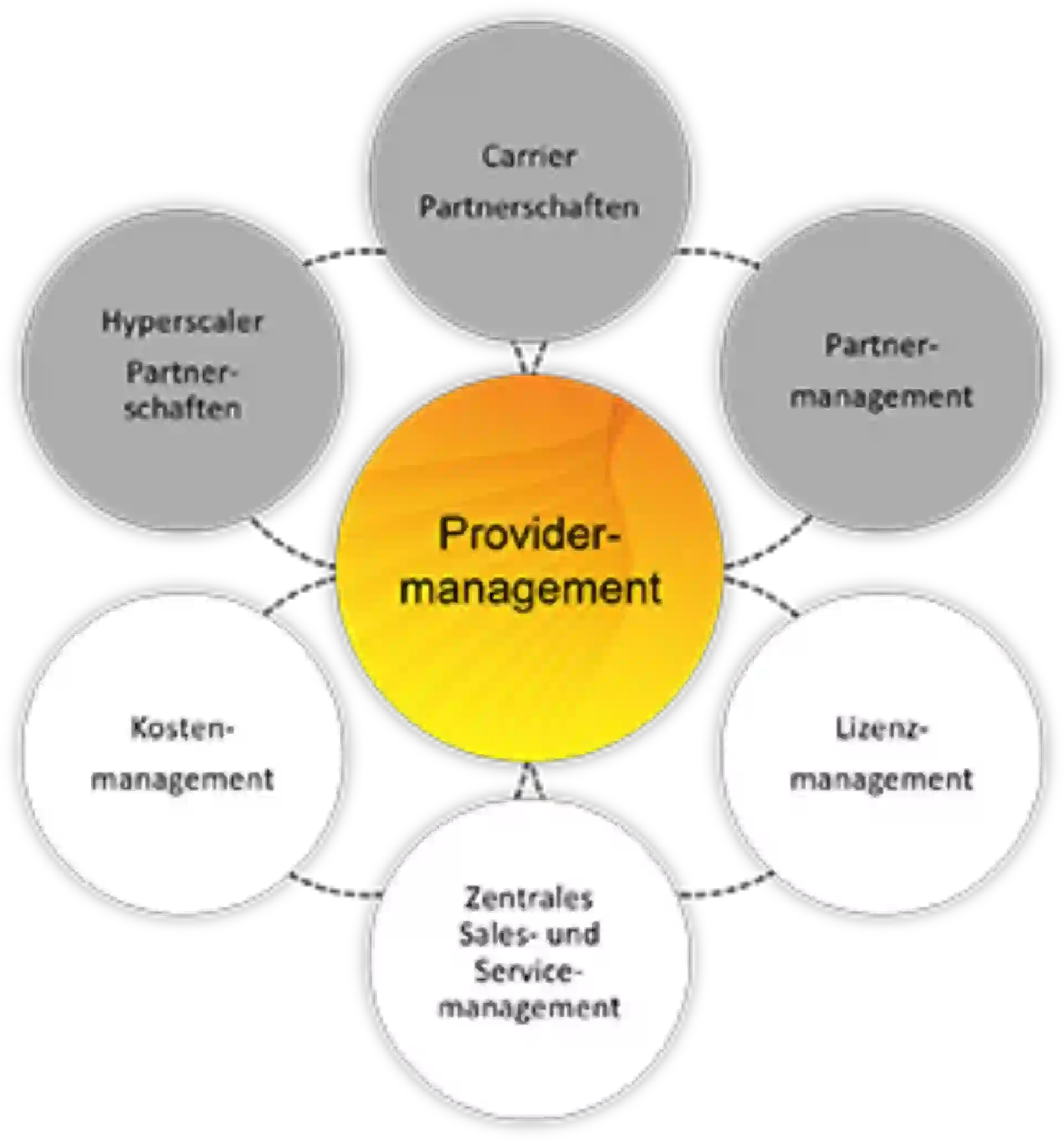 Diagramm der Leistungen im Providermanagement