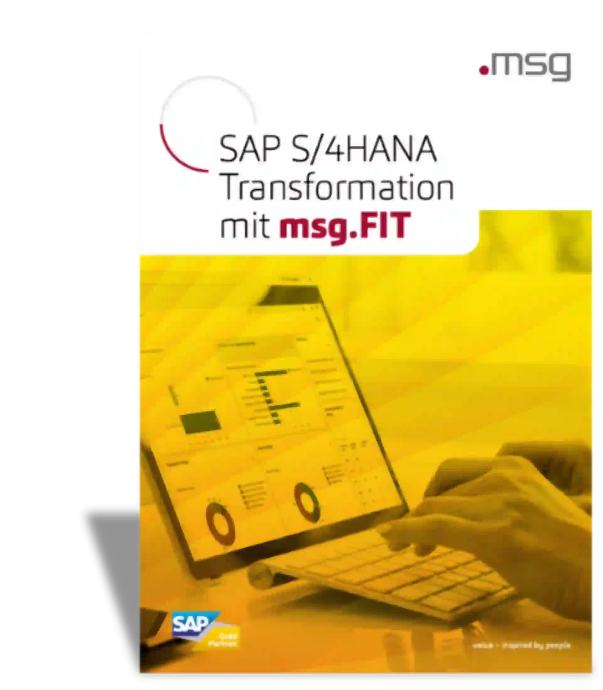 msgFIT Produktflyer