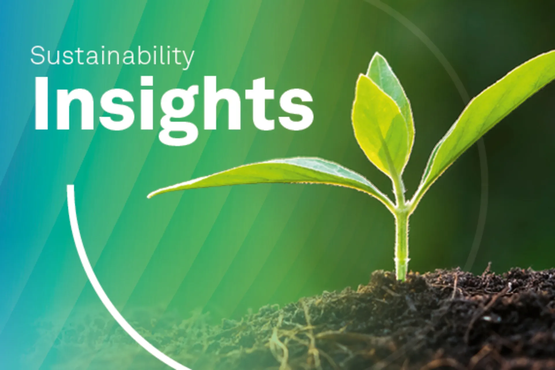 Sustainability Insights Webinar Visual