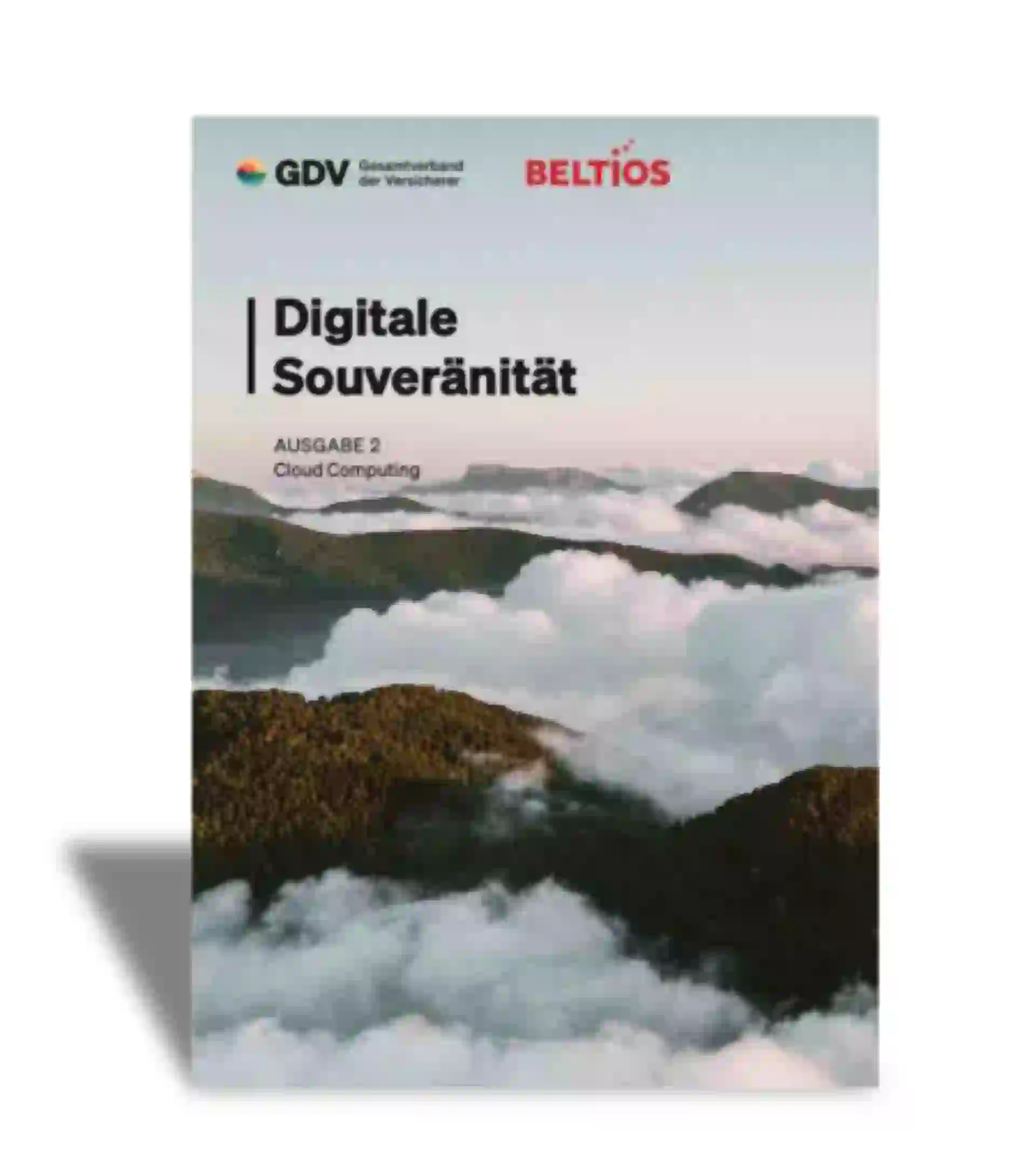 Ausgabe2_Cloud Computing