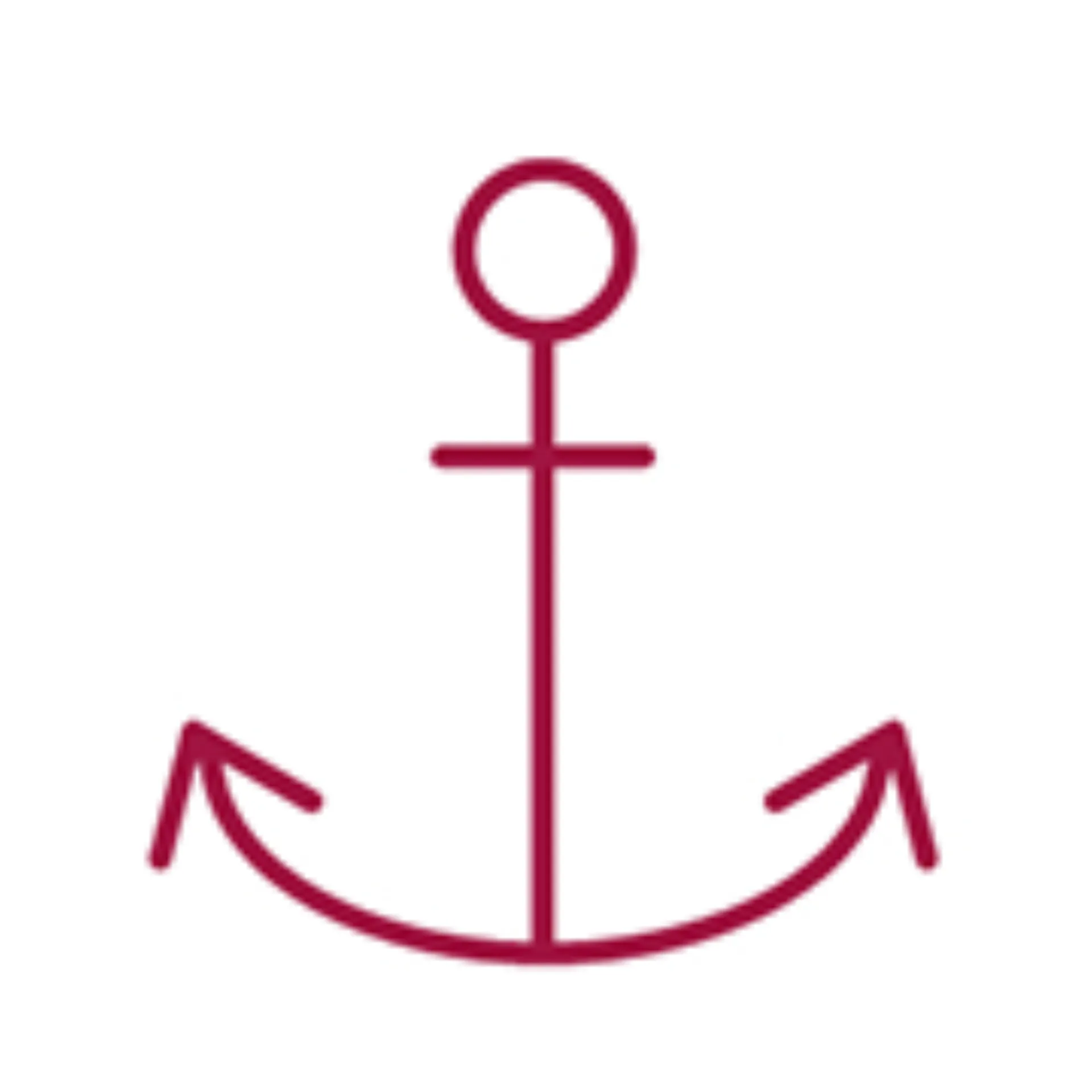 anker icon