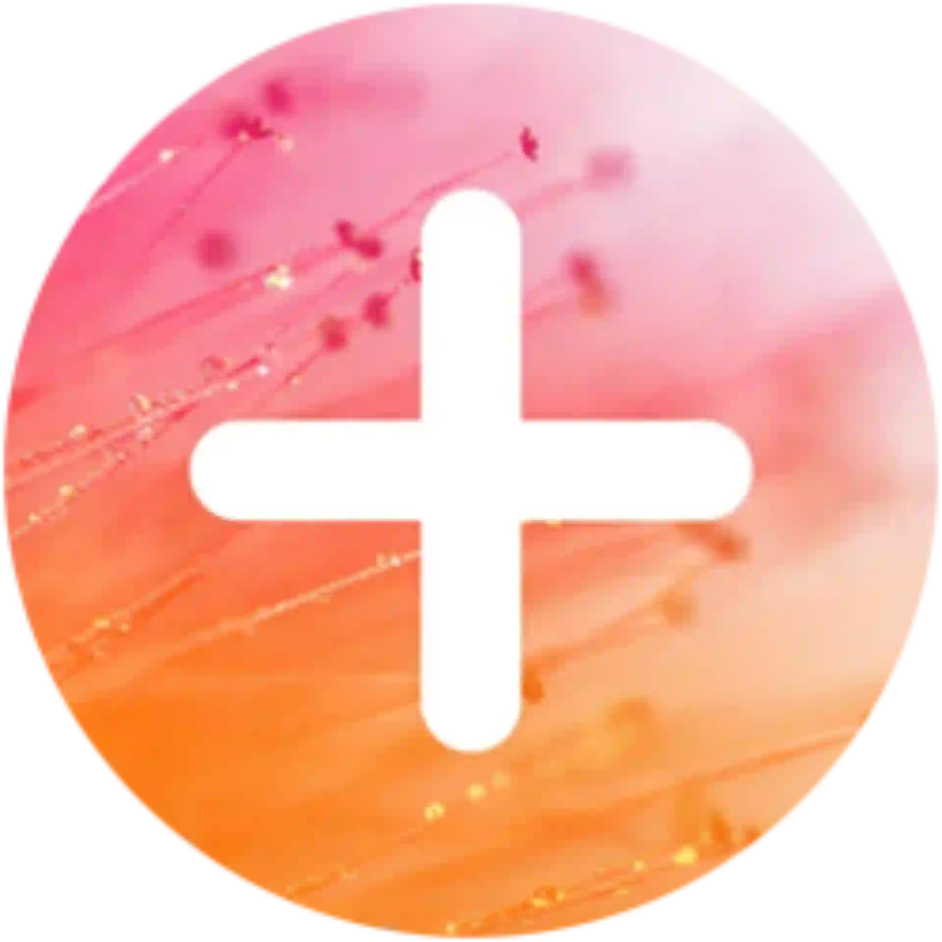 msg.Health Factory Logo
