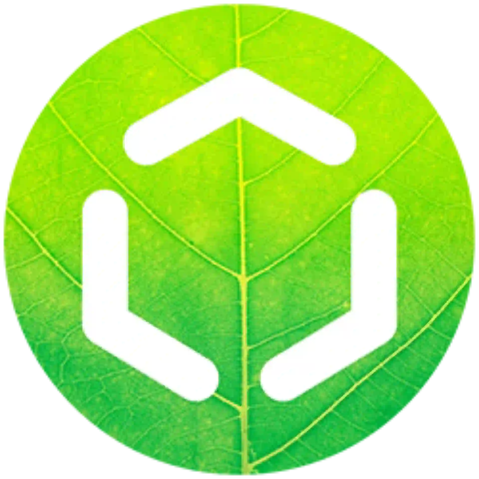 msg.Life Factory Logo