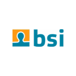 Bsi Partner Logo