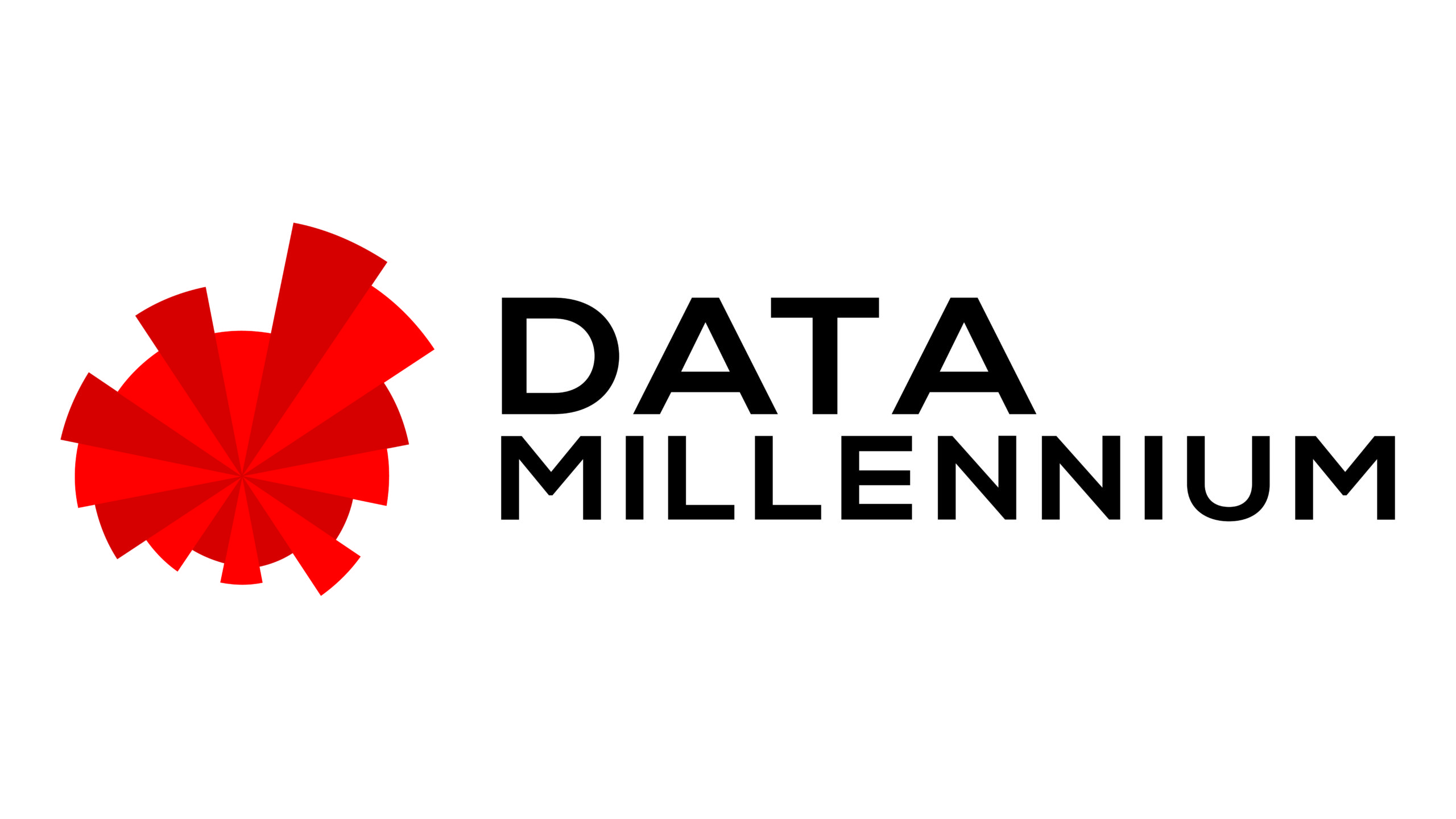 DataMillennium logo