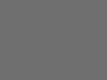 Primrfarbe Grau Msg