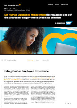 Human Experience Management Mitarbeiter Ebook Msg Treorbis